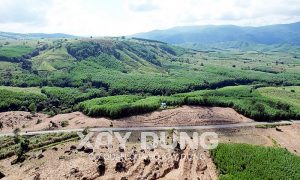 Phú Yên: Công ty Trúc Lâm 17 năm không thực hiện dự án trồng rừng
